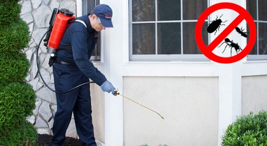 Kırkağaç Fare İlaçlama böcek ilaçlama ve haşere kontrolü — ilaclama-tr.com